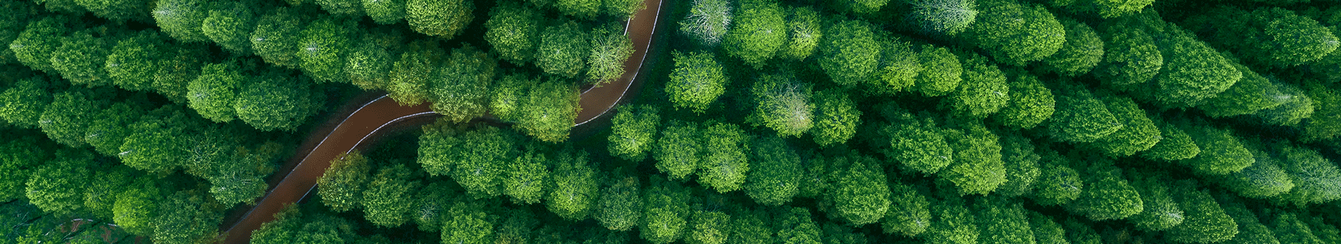 ���ǹ���ϵͳ|��Ա��¼|ƽ̨|ע��